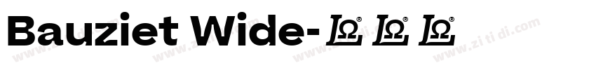 Bauziet Wide字体转换